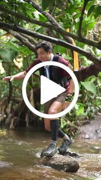 BIB:  <button type="button" onclick="openModal(27564377)" class="btn btn-primary btn-sm float-right" data-toggle="modal" data-target=".modal-high-quality">
                <i class="fa fa-download"></i> Download
                </button>